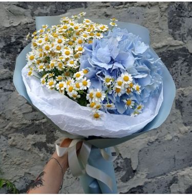 Гортензія та ромашки