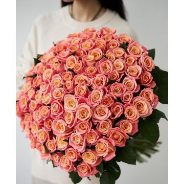101 коралова троянда Міс Піггі