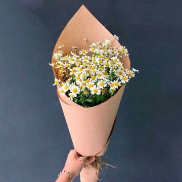 Букет з 11 ромашок