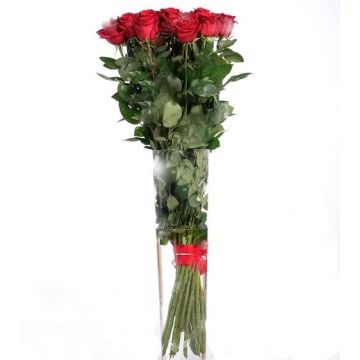 Метрова троянда поштучно