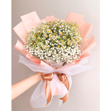 Ромашкова хмарка