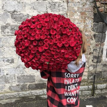 Класика 201 троянда