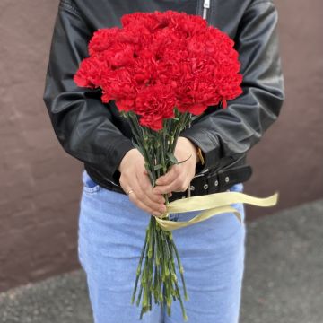 Червоні гвоздики