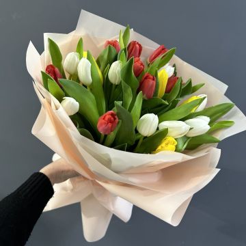 Букет 25 тюльпанів