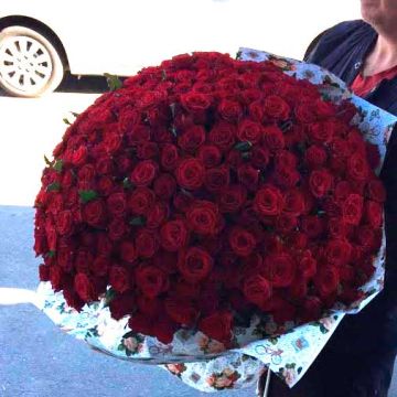 Букет з 301 троянди Класика &quot;301&quot;