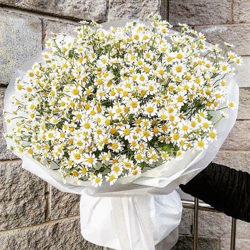 Букет 35 ромашок &quot;Тисяча Сонець&quot;