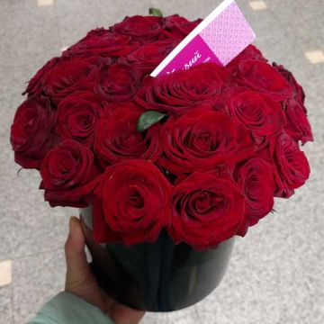 27 червоних троянд у коробці