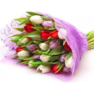 Букет із 31 тюльпану "Чарівність"