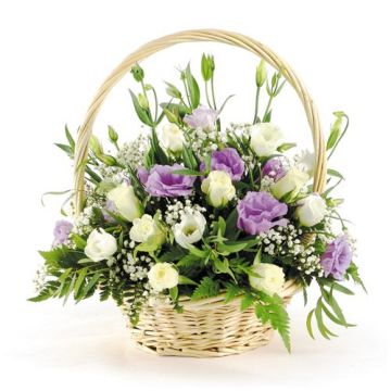 Кошик еустом Ода