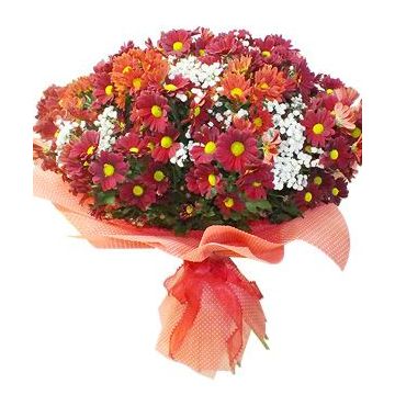 Букет з 25 хризантем "Поляна хризантем"