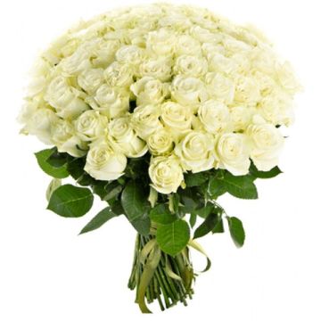 Букет 51 біла троянда