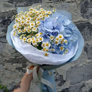 Гортензія та ромашки