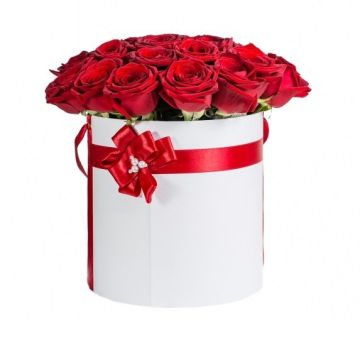 Сучасна класика 25