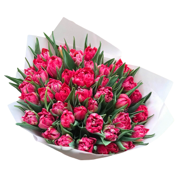 Букет з 35 червоних тюльпанів "Вогонь кохання"