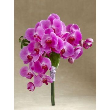 Букет нареченої "Пінкі Пай"