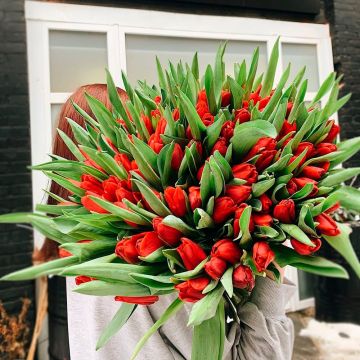 101 червоний тюльпан