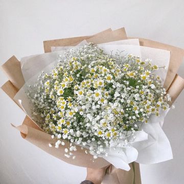 Букет з ромашки та гіпсофіли