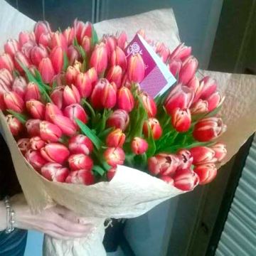 Букет із 101 тюльпану "Тюльпаноманія"