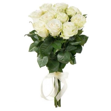 Білі троянди 11