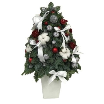 Декоративна ялина &quot;Зелена красуня&quot;