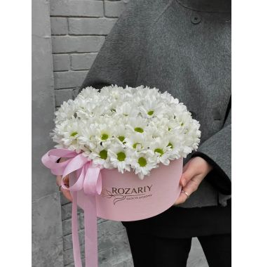 Коробка хризантем