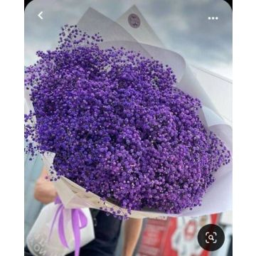 Открытка Гапчинская 