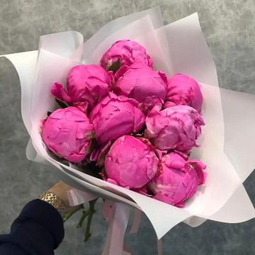 9 пионов
